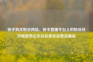 快手购买粉丝网站,快手直播平台上的粉丝经济新趋势亿乐社区低价自营货源站
