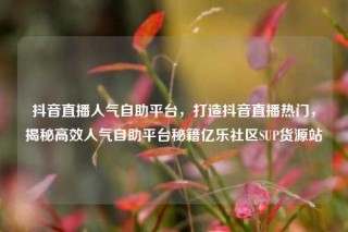 抖音直播人气自助平台,打造抖音直播热门,揭秘高效人气自助平台秘籍亿乐社区SUP货源站