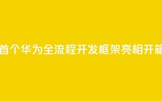 业界首个!华为全流程AI开发框架ModelEngine亮相:开箱即用