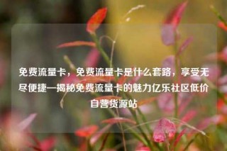 免费流量卡,免费流量卡是什么套路,享受无尽便捷—揭秘免费流量卡的魅力亿乐社区低价自营货源站