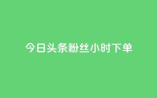 今日头条粉丝24小时下单 - 今日头条24小时内粉丝下单新热点解析!