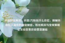 抖音粉丝购买，抖音2万粉丝什么价位，探秘抖音红人背后的商业秘密，粉丝购买与变现策略亿乐社区低价自营货源站