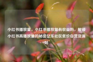小红书播放量,小红书播放量有收益吗,解锁小红书高播放量的秘密亿乐社区低价自营货源站