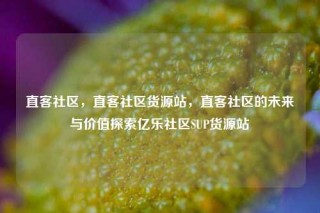 直客社区,直客社区货源站,直客社区的未来与价值探索亿乐社区SUP货源站