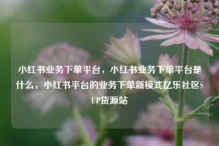 小红书业务下单平台,小红书业务下单平台是什么,小红书平台的业务下单新模式亿乐社区SUP货源站