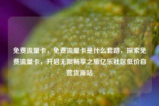 免费流量卡,免费流量卡是什么套路,探索免费流量卡,开启无限畅享之旅亿乐社区低价自营货源站