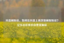 抖音刷粉丝,如何在抖音上高效地刷取粉丝?亿乐社区低价自营货源站