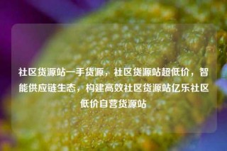社区货源站一手货源,社区货源站超低价,智能供应链生态,构建高效社区货源站亿乐社区低价自营货源站