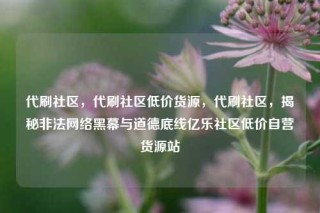 代刷社区,代刷社区低价货源,代刷社区,揭秘非法网络黑幕与道德底线亿乐社区低价自营货源站