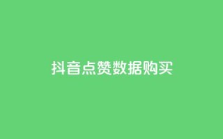 抖音点赞数据购买 - 如何购买抖音点赞数据,快速提升粉丝人气~