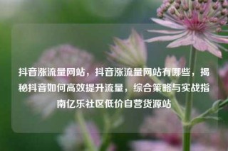抖音涨流量网站,抖音涨流量网站有哪些,揭秘抖音如何高效提升流量,综合策略与实战指南亿乐社区低价自营货源站