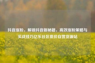 抖音涨粉,解锁抖音新秘籍,高效涨粉策略与实战技巧亿乐社区低价自营货源站