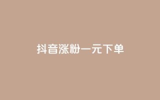 抖音涨粉一元下单 - 抖音一元下单快速涨粉秘诀揭秘!