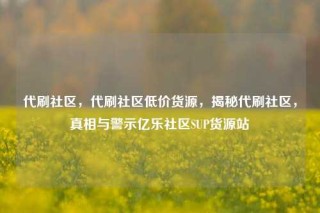 代刷社区,代刷社区低价货源,揭秘代刷社区,真相与警示亿乐社区SUP货源站