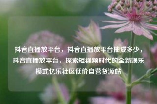 抖音直播放平台,抖音直播放平台抽成多少,抖音直播放平台,探索短视频时代的全新娱乐模式亿乐社区低价自营货源站