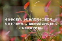 小红书点赞网,小红书点赞网十二出品网,小红书上的那些事儿,揭秘点赞背后的故事亿乐社区低价自营货源站