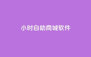 24小时自助商城软件,ks免费业务平台低价 - Ks自助平台 - 闲鱼业务24小时在线下单免费