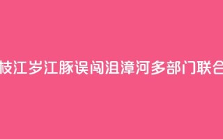 湖北枝江:2岁江豚误闯沮漳河 多部门联合救援