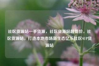 社区货源站一手货源,社区货源站超低价,社区货源站,打造本地市场新生态亿乐社区SUP货源站