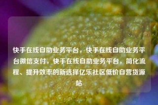 快手在线自助业务平台,快手在线自助业务平台微信支付,快手在线自助业务平台,简化流程、提升效率的新选择亿乐社区低价自营货源站