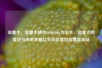 流量卡,流量卡移动19元200g大王卡,流量卡的变迁与未来发展亿乐社区低价自营货源站