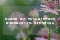 抖音刷粉丝,揭秘,如何在抖音上高效刷取大量粉丝的秘密技巧亿乐社区低价自营货源站