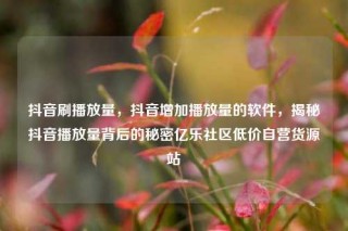 抖音刷播放量,抖音增加播放量的软件,揭秘抖音播放量背后的秘密亿乐社区低价自营货源站