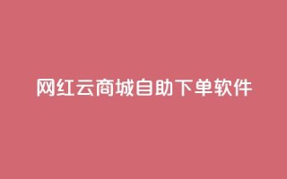 网红云商城自助下单软件,dy业务自助下单在线 - 抖音快手业务网 - dy低价下单平台闪电