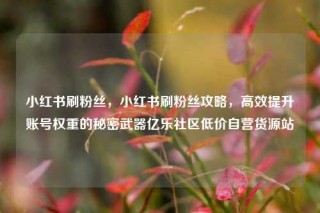 小红书刷粉丝,小红书刷粉丝攻略,高效提升账号权重的秘密武器亿乐社区低价自营货源站