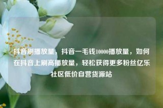 抖音刷播放量,抖音一毛钱10000播放量,如何在抖音上刷高播放量,轻松获得更多粉丝亿乐社区低价自营货源站