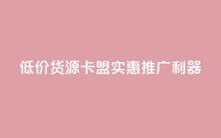 低价货源卡盟,实惠推广利器