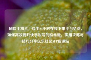 刷快手粉丝,快手24小时在线下单平台免费,如何高效提升快手账号的粉丝量,实用攻略与技巧分享亿乐社区SUP货源站