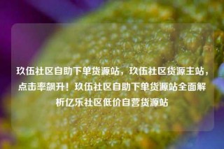 玖伍社区自助下单货源站,玖伍社区货源主站,点击率飙升!玖伍社区自助下单货源站全面解析亿乐社区低价自营货源站