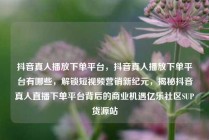 抖音真人播放下单平台,抖音真人播放下单平台有哪些,解锁短视频营销新纪元,揭秘抖音真人直播下单平台背后的商业机遇亿乐社区SUP货源站