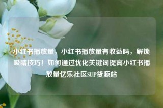 小红书播放量,小红书播放量有收益吗,解锁吸睛技巧!如何通过优化关键词提高小红书播放量亿乐社区SUP货源站
