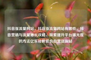 抖音涨流量网站,抖音涨流量网站有哪些,抖音营销与流量增长攻略,探索提升平台曝光度的方法亿乐社区低价自营货源站