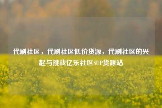 代刷社区,代刷社区低价货源,代刷社区的兴起与挑战亿乐社区SUP货源站
