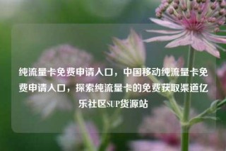 纯流量卡免费申请入口,中国移动纯流量卡免费申请入口,探索纯流量卡的免费获取渠道亿乐社区SUP货源站