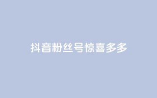 抖音粉丝号 惊喜多多.cn - 抖音粉丝号「惊喜多多.cn」:获取更多惊喜,打造火爆抖音粉丝号~