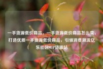一手货源低价商品,一手货源低价商品怎么卖,打造优质一手货源低价商品,引领消费潮流亿乐社区SUP货源站