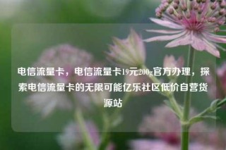 电信流量卡,电信流量卡19元200g官方办理,探索电信流量卡的无限可能亿乐社区低价自营货源站