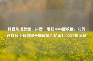 抖音刷播放量,抖音一毛钱10000播放量,如何在抖音上有效提升播放量?亿乐社区SUP货源站