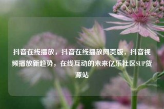 抖音在线播放,抖音在线播放网页版,抖音视频播放新趋势,在线互动的未来亿乐社区SUP货源站