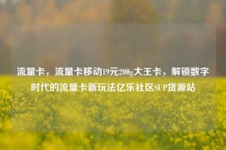流量卡,流量卡移动19元200g大王卡,解锁数字时代的流量卡新玩法亿乐社区SUP货源站