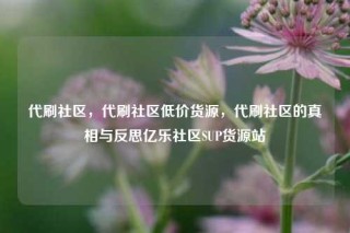 代刷社区,代刷社区低价货源,代刷社区的真相与反思亿乐社区SUP货源站