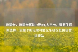 流量卡,流量卡移动19元200g大王卡,智慧生活新选择,流量卡的无限可能亿乐社区低价自营货源站