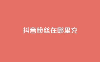 抖音粉丝在哪里充 - 哪里可以快速增加抖音粉丝数!