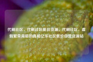 代刷社区,代刷社区低价货源,代刷社区,虚假繁荣背后的真相亿乐社区低价自营货源站