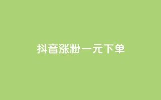 抖音涨粉一元下单 - 抖音涨粉一元低价下单,快速提升粉丝数量!