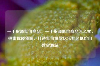 一手货源低价商品,一手货源低价商品怎么卖,探索优质货源,打造低价爆款亿乐社区低价自营货源站